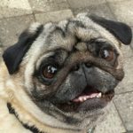 Kimchi Fried Rice Scramble by Wicked Healthy Food